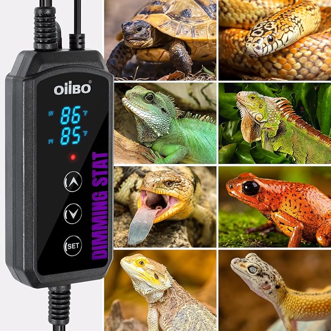 Digital Heat Mat Thermostat, PID Reptile Heat Lamp Dimming Thermostat Heating Pad Temperature Controller for for Aquarium Reptiles and Seedling, Breeding, Hatching