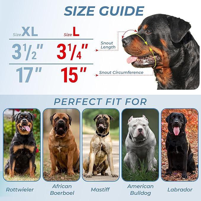 Dog Metal Muzzle for Large Sized Dogs – Heavy Duty Rottweiler Muzzle – Large Basket Dog Muzzle for Barking and Biting Cane Corso, Mastiff, Labrador, Bulldog, Alabai and Other Big Breeds