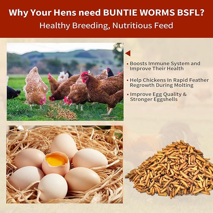 BUNTIE WORMS Dried Black Soldier Fly Larvae 10LB, 100% Natural Non-GMO, No Additives, Treat for Chickens, Reptiles and Birds, More Calcium Than Mealworms