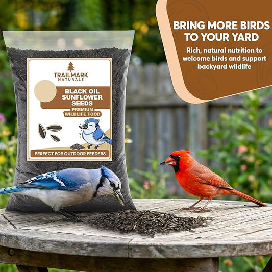 3 LB Black Oil Sunflower Seeds for Birds – Premium Wildlife & Bird Food – Grown in USA - Non-GMO - Black Oil Sunflower Seeds for Wild Birds and Backyard Feeders