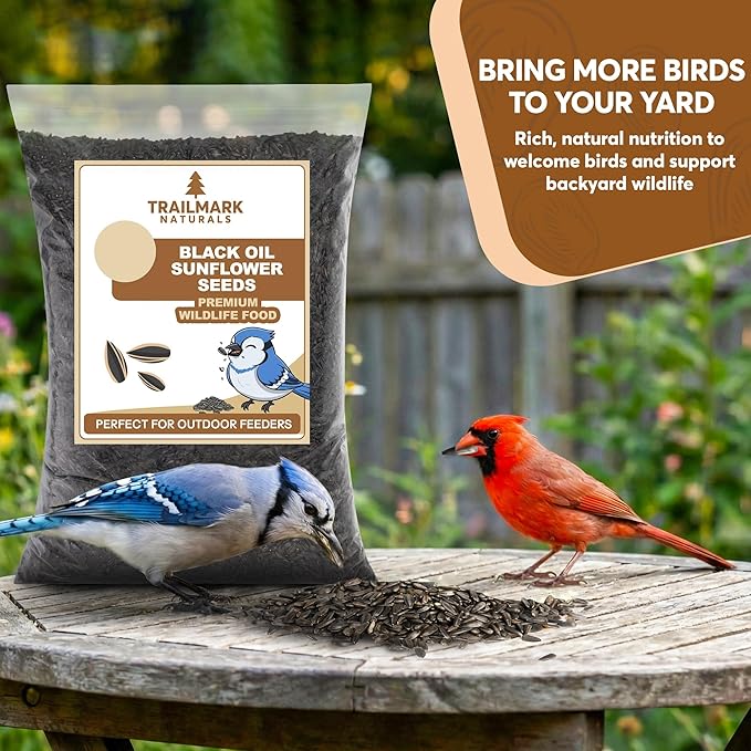 6 Pound Black Oil Sunflower Seeds for Birds – Premium Wildlife Food – Non - GMO -Grown in the USA - Black Oil Sunflower Seeds for Wild Animals and Backyard Feeders