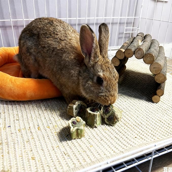 100G Rabbit Chew Toys Guinea Pig Treats Natural Papaya Wood Chew Sticks for Teeth Bunny Guinea Pig Hamster Chinchilla