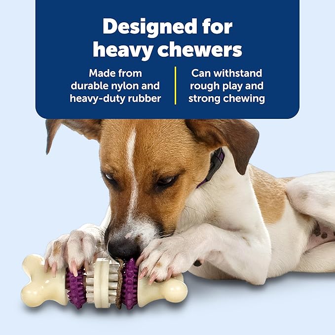 PetSafe Busy Buddy Bristle Bone Dog Chew Toy - Treat Holding Toothbrush Toy for Hard Chewers - Helps Keep Your Dog's Teeth Clean - Durable, Interactive - Purple, Large