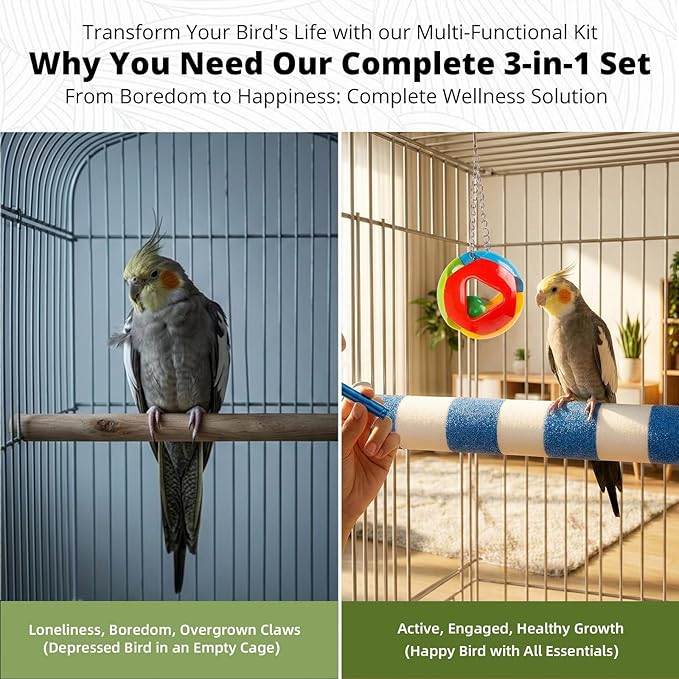 Perch Stand 3-in-1 Bird Toys Gift Set, Parrot Perch Bird Cage Accessories for Cockatiel, Parakeet, Lovebirds All Small Medium Birds, Durable Beak & Claw Trimming Grinding Stone, Safe, Easy to Clean
