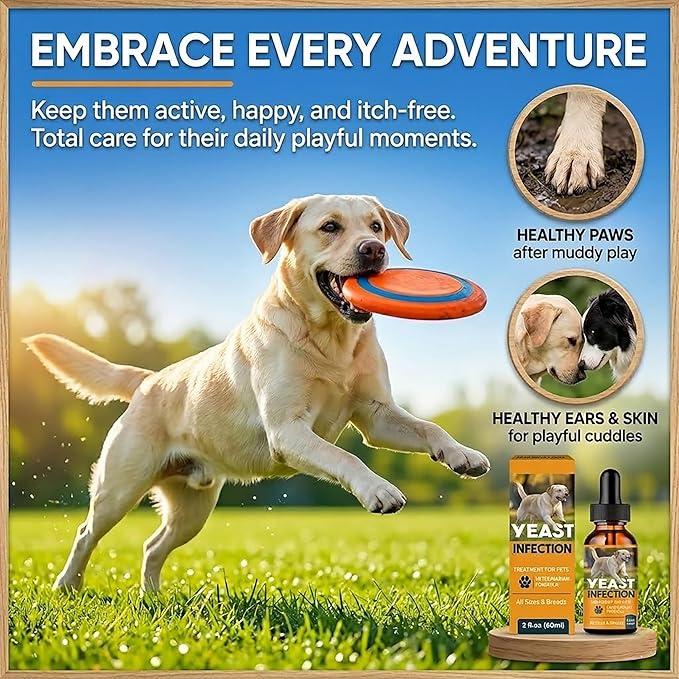 Yeast Infection Treatment for Dogs, Dog Ear Infection Treatment and Anti Yeast Drops, Natural Itch Relief for Skin and Ears, Natural Ingredients Gentle Daily Dogs & Cats Care, 2 Fl Oz