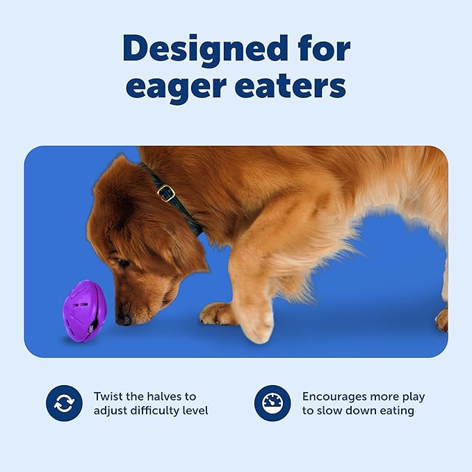 PetSafe Busy Buddy Twist 'n Treat Dispensing Dog Toy - Large