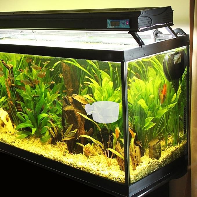 2pcs Aquarium Fish Feeder Floating Feeding Cup Set Acrylic Fish Food Container for Bloodworm and Brine Shrimp Large and Small Sizes