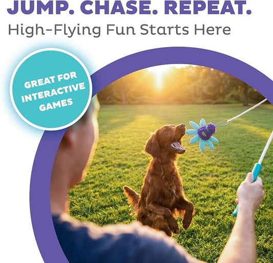 Outward Hound FlyFetch Teaser Wand Dog Toy with Crinkle Attachment, Durable for Indoor & Outdoor Play, All Breeds, 17.7"