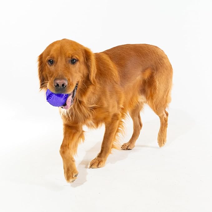 Playology Dog Toys | Dental Chew Ball for Large Senior Dogs | Pork Sausage Scented Jumbo Toy | Dog Balls for Healthy Teeth and Gums