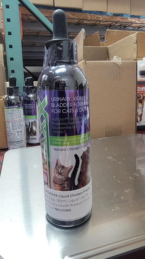 UroMAXX, Cat & Dog Urinary Tract Treatment, Bladder & Kidney Support for Dogs and Cats, Powerful Yet Gentle Pet Care, with Liquid Cranberry & Glucosamine, Chicken Flavor, 6 oz Bottle, 1 Pack