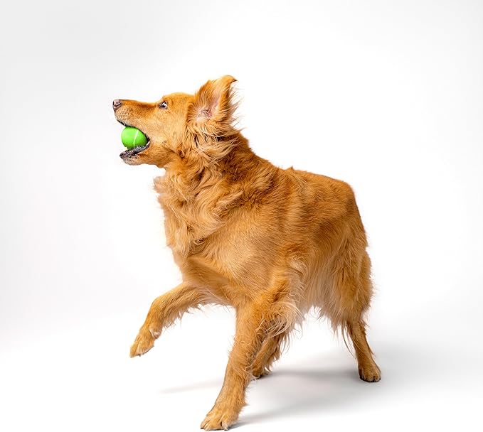 Playology Dog Toys | Squeaky Chew Ball for Dogs | Sweet Potato Scented Medium Dog Ball | Bouncy Floating Chew Toys for Fetch
