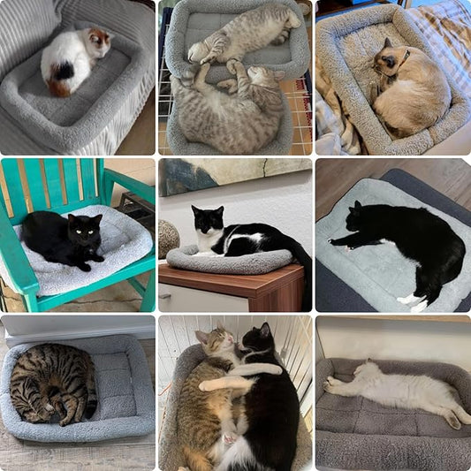 Small Cat Bed Mat, 22" x 16" Plush Cushion with Surrounding Pillow for Small to Meidum Dogs Cats Sleeping, Indoor Pet Beds Furniture Carrier Crate Anti Skid Pad, Washable, Medium