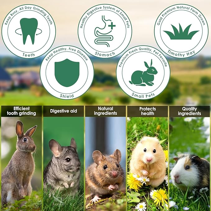 ERKOON 100% Edible Premium Timothy Hay Chew A Bowl for Rabbits, Chinchilla Treats, Chew Toys for Teeth Guinea Pigs and Mice