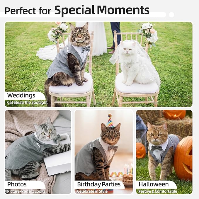 QBLEEV Cat Tuxedo Outfit with Bow Tie, Sphynx Cat Costume Formal Suit Wear | Soft breathable, stylish hairless clothes for cats only, kitten wedding birthday party shirt apparel for male boy