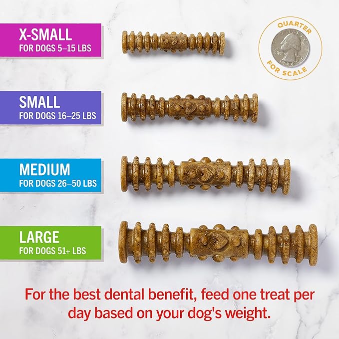 Stella & Chewy's Dental Delights with Freeze-Dried Chicken - Medium Dental Treats for Dogs, Single Serve