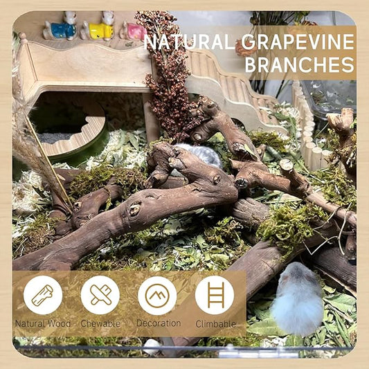 kathson 2Pcs Wood Hamster Climbing Branches Decor, Natural Wooden Syrian Hamster Climb Chewing Toys, Rat Exercise Toys, Small Animal Habitat Decor Accessories for Dwarf Pets, Mice, Gerbils