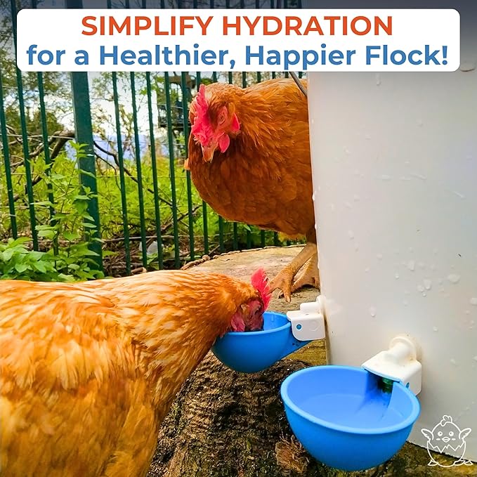 Lil Clucker - Blue Large Automatic Chicken Waterer Cups Suitable for Ducks, Geese, Turkeys, and Bunny Rabbit - Water Feeder Kit - Poultry Waterer - Pack of 12