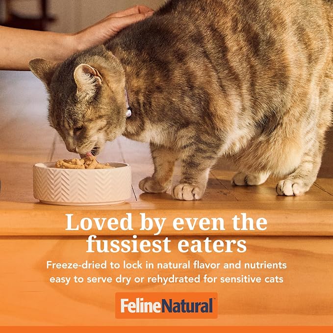 Feline Natural High Protein Dry Cat Food, Freeze-Dried Diet with 98% Meat, Organs & Seafood, No Peas, Grains, or Artificial Additives, Made in New Zealand, Beef, 11oz