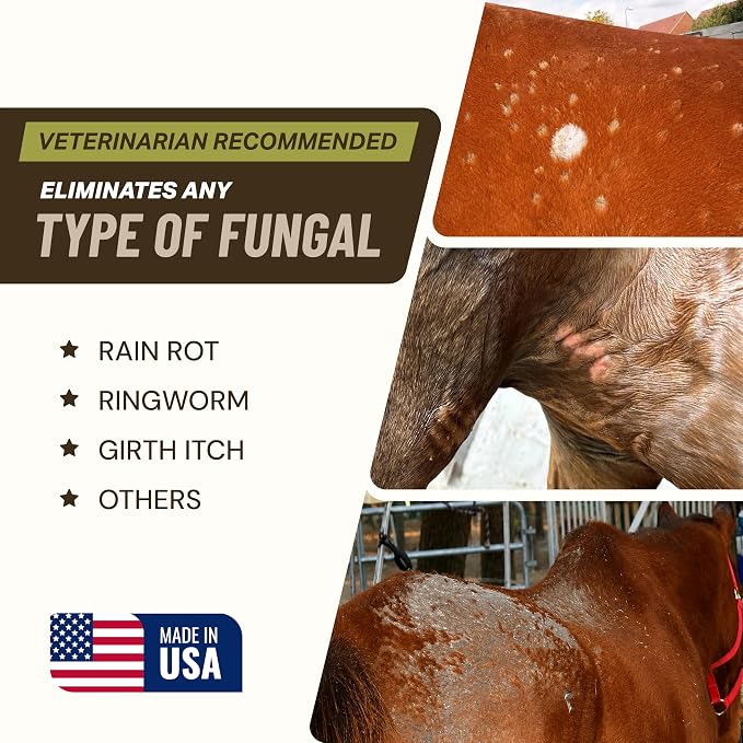 Saratoga Veterinary Product Antifungal Shampoo for Horses - Antibacterial Horse Shampoo and Conditioner - Effective Antifungal Horse Shampoo - Professional Quality Equine Care (1 Gallon)