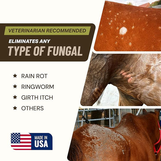 Saratoga Veterinary Product Antifungal Shampoo for Horses - Antibacterial Horse Shampoo and Conditioner - Effective Antifungal Horse Shampoo - Professional Quality Equine Care (1 Gallon)