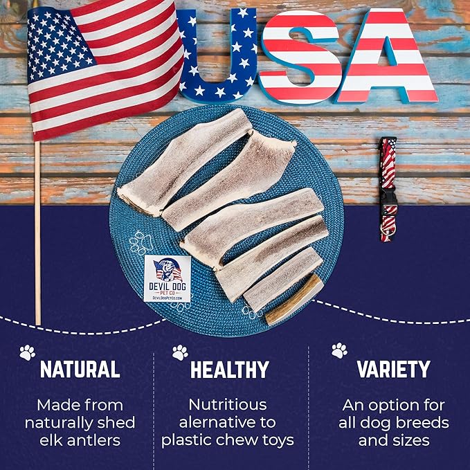 Devil Dog Pet Co. Split Elk Antlers for Dogs, Natural Dog Chew with Exposed Marrow - Long Lasting and Odor Free - USA Sourced - Cleaner Teeth, Anxiety & Boredom Relief - Medium 5"+ 2 Pack