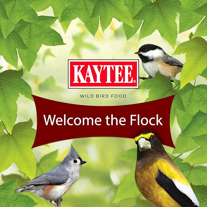 Kaytee Songbird Wild Bird Seed Food, Blended for Grosbeaks, Chickadees, Titmice, Cardinals, Nuthatches & More, 7 Pounds
