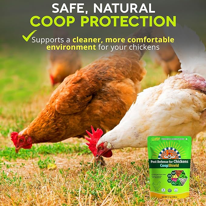 Buff Clucks Dust Bath Herb Blend for Chickens - Keep Feathers Clean & Healthy - Food Grade, Natural Nesting Box Herbs for Bedding, Coop Floor, USA (12 oz)