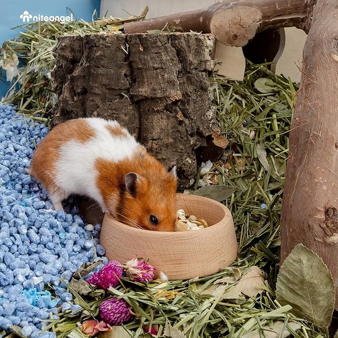 Niteangel Wooden Hamster Feeding Bowl - Small Animal Food Dish for Dwarf Syrian Hamsters Gerbils Mice Degus or Other Similar-Sized Small Pets (Hammy Pattern, for Syrian)