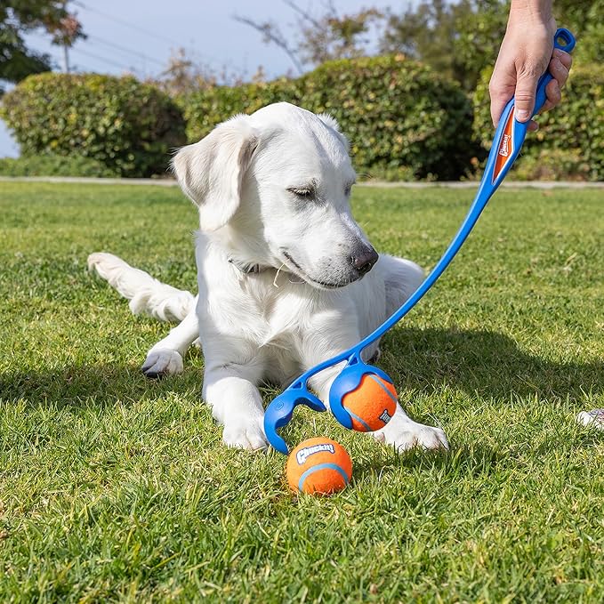 Chuckit! The Duo 22M Double Launcher Dog Toy, 22" Length, Includes 2 Medium Tennis Balls (2.5") Size Medium for Breeds 20-60lbs, Multi-Dog and Pack Play