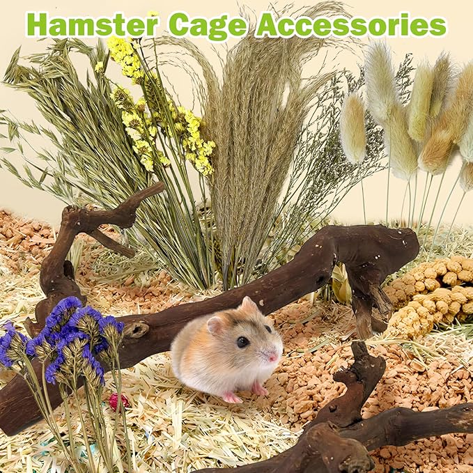 2Pcs Hamster Climbing Branches Decor 11.8in Rat Tree Logs Toy Wooden Gerbil Habitat Ornament Small Animal Cage Accessories with 31Pcs Natural Flower Hamster Mate Herbs