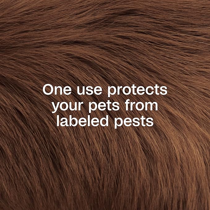 ADAMS Plus Pyrethrin Flea Dip for Dogs and Cats, Kills and Repels Fleas, Ticks, Lice, Gnats, Mosquitoes and Flies, for Dogs, Cats, Puppies, & Kittens, 4 Fl oz (Pack of 2)
