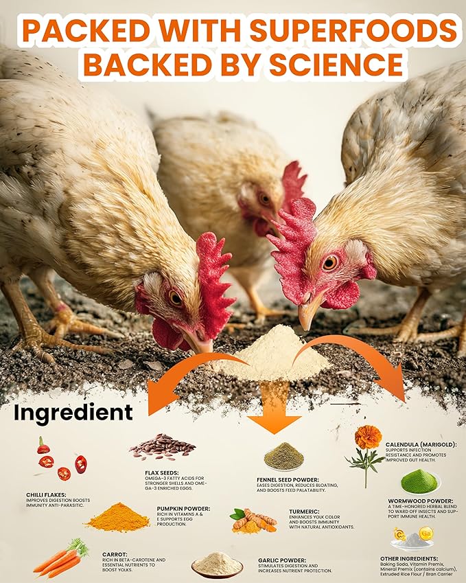 Natural Chicken Powder Chili Mix, 1 lb Herbal Feed Topper for Laying Hens, Egg-Safe Poultry, Daily Wellness Feed Topper, Garlic Pumpkin Seed Wormwood, Marigold Turmeric for Golden Yolks