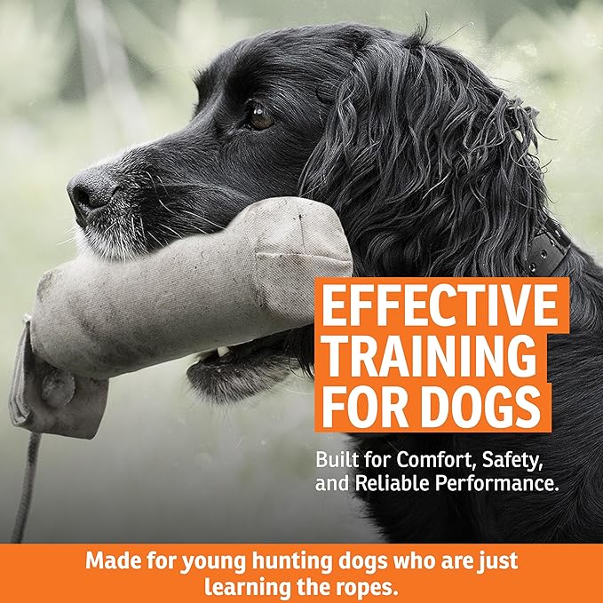 SportDOG Canvas Dummies - Hunting Dog Training Tool - Game Scent Absorber - Water-Ready Bumper - Durable Field Dummy - Weighted Toy - Puppy Size - 2.25" W X 8.5" L - Natural