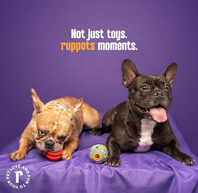 Dog Treat Dispensing Toy for Small Dogs – 2 Pack Natural Rubber Balls for French Bulldog, Chihuahua, Dachshund – Dental Chew + Treat Puzzle Ball, Mental Stimulation, BPA Free