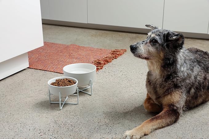 Waggo Simple Solid Dog Bowl and Dog Bowl Stand - Single Iron Stand with Single Ceramic Feeder or Water Bowl (Dolphin, Small)