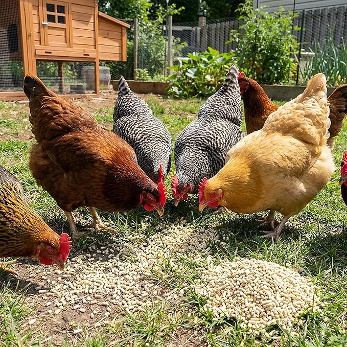 Layer Pellet Chicken Feed, 16% Protein Poultry Feed for Laying Hens, Supports Egg Production, Strong Eggshells & Calcium Absorption with Vitamin D3, Made in USA, 40 lbs