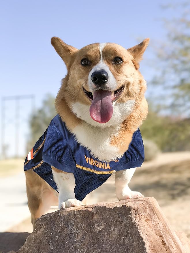 Pets First NCAA College Virginia Cavaliers Mesh Jersey for DOGS & CATS, Small.Licensed Dog Jersey with your Favorite Football/Basketball College Team