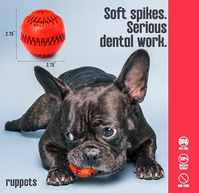 Dog Treat Dispensing Toy for Small Dogs – 2 Pack Natural Rubber Balls for French Bulldog, Chihuahua, Dachshund – Dental Chew + Treat Puzzle Ball, Mental Stimulation, BPA Free