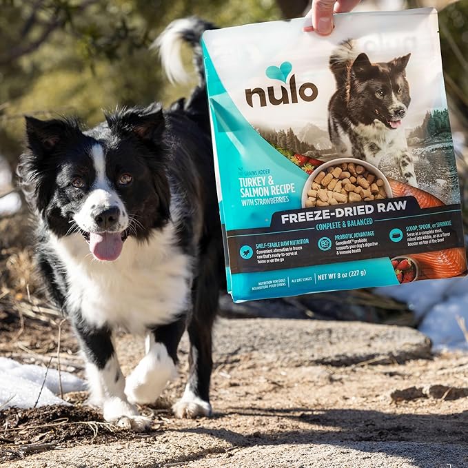 Nulo Freeze-Dried Raw Lamb Recipe with Raspberries Complete and Balanced Dry Dog Food Kibble, 18 Ounce Bag