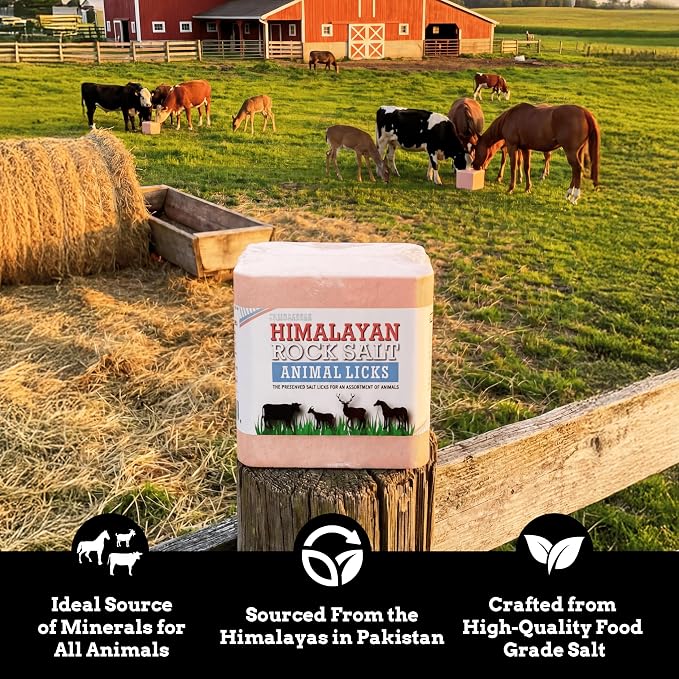Salt Block for Deer & Horses – Compressed Mineral Salt Lick for Livestock, Cattle & Goats – Himalayan Secrets Pink Rock Salt Block (2.5LB/2KG, Block w/Mounting Hole)