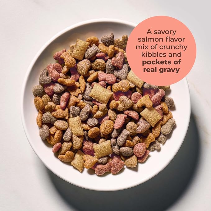 Meow Mix Gravy Bursts, Savory Salmon Flavor Kibble Mix, Gravy Filled Dry Cat Food, 3 lb. Bag (Pack of 2)