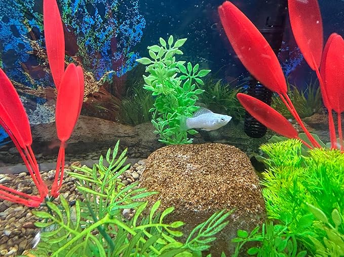 EcoBio-Block Natural Volcanic Rock for Aquarium Water Clarity & Balance — Low-Maintenance Alternative to Weekly Additives — for Freshwater Fish, Turtles, Shrimp & Frogs (Nano 2-Pack, 0.8-1.5 gal ea.)