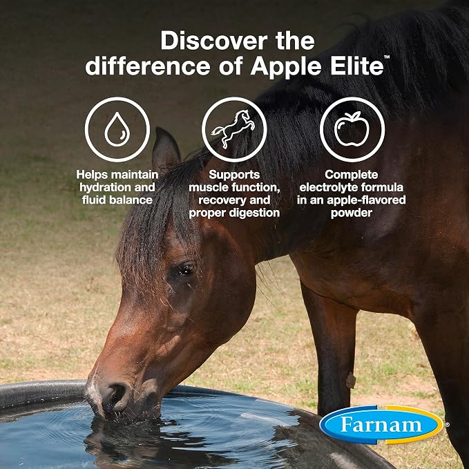 Farnam Apple Elite Horse Electrolytes Powder Supplement, Replaces Vital Minerals, Encourages Hydration, Sugar-Free, Contains Sodium, Potassium, Calcium & Magnesium, Apple Flavored, 5 lb