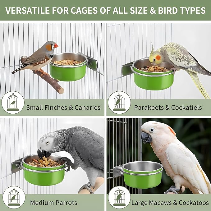 Stainless Steel Bird Bowls for Cage (8 Pack)– Green Hanging Bird Food & Water Feeder Cups with Clamp Holder, Anti-Spill Bird Cage Feeders for Parakeets, Cockatiels, Conures, Budgies & Small Animals