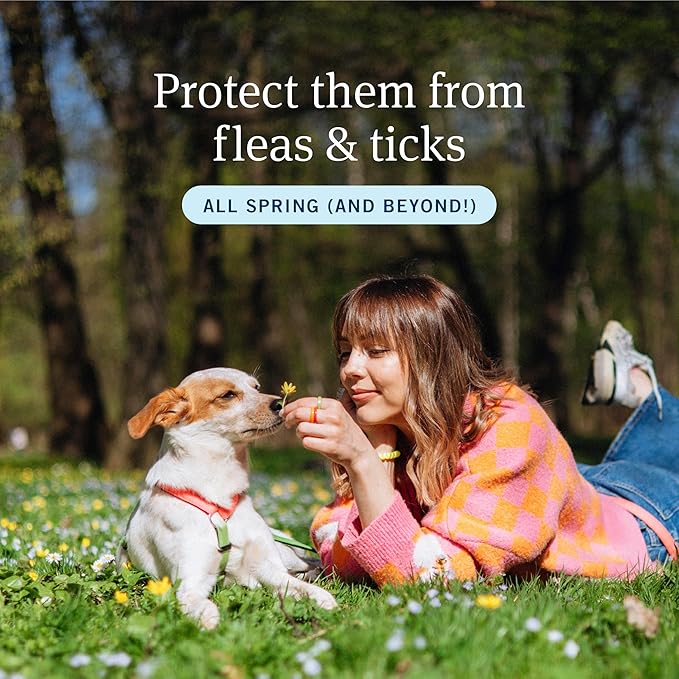 PetArmor Plus Flea and Tick Prevention for Dogs, Small Dog Flea and Tick Treatment, 6 Doses, Waterproof Topical, Fast Acting (5-22 lbs)