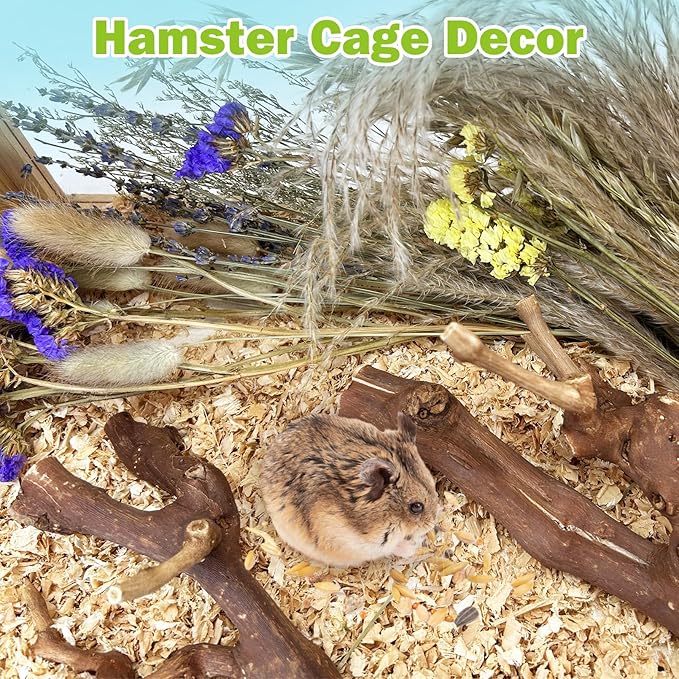 2Pcs Hamster Climbing Branches Decor 11.8in Rat Tree Logs Toy Wooden Gerbil Habitat Ornament Small Animal Cage Accessories with 31Pcs Natural Flower Hamster Mate Herbs