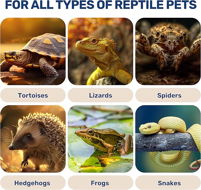 Reptile Heat Lamp 150W Ceramic Heat Emitter, No Light Emitting Heat Bulbs for Amphibian Pet Brooder Coop Incubating Chicken, Lizard Bearded Dragon Turtle Snake Terrarium