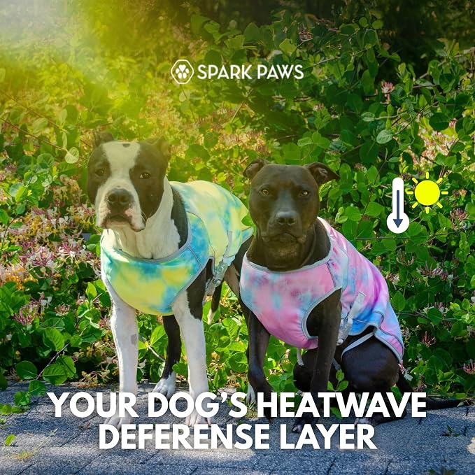 Spark Paws Dog Cooling Vest - SPF 50 UV Sun Protection - Summer Heat Relief Gear for Dogs, Lightweight, Evaporative Cooling - Dog Anxiety Relief Vest During Hot Days - Ice Blue, 2XL