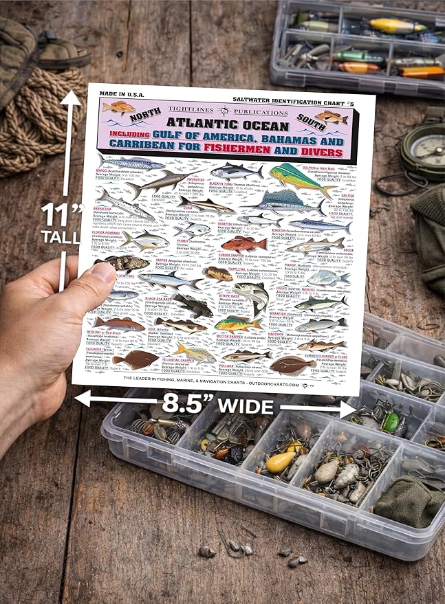 Saltwater Fish Identification Chart Set - Waterproof Quick Reference Fishing Guides - 100+ Species ID - (Atlantic and Pacific) - Double-Sided & Easy to Read - Great Gift for Beginners
