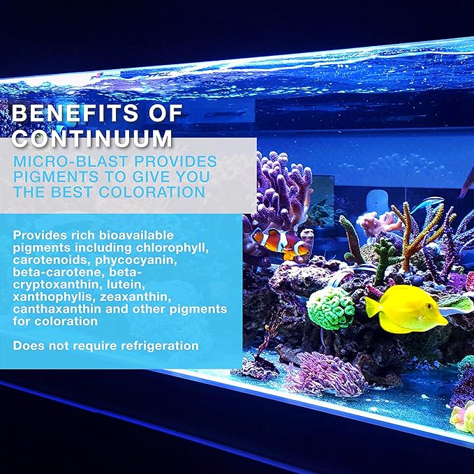 Continuum Aquatics Brightwell Aquatics Micro-Blast - Invertebrate Food for Live Corals, Feather dusters, gorgonians, and Other fine Filter feeders, 20 Liter